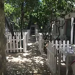 Iyon *