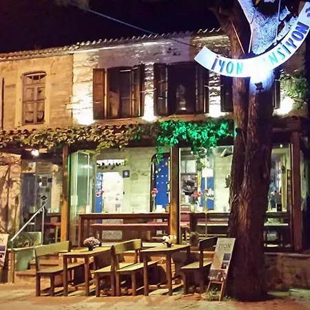 Iyon Мини-отель *