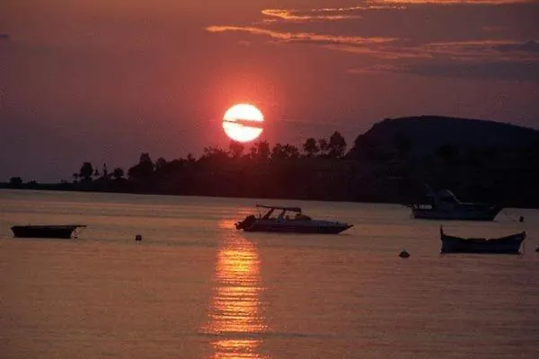 Iyon אורחן פוצ'ה